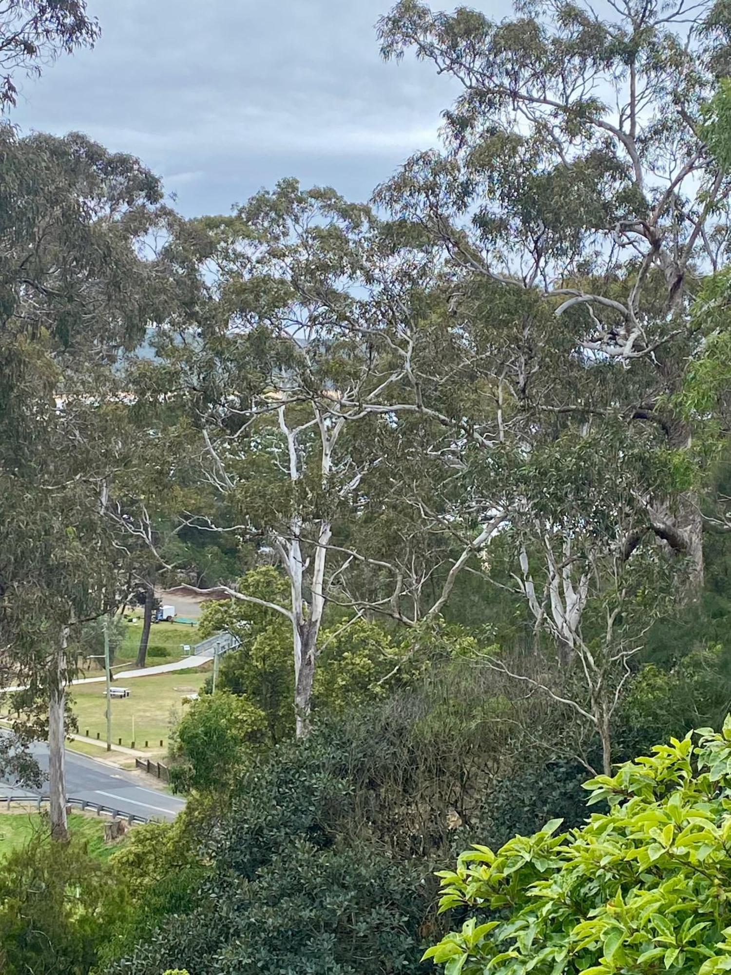 Tathra Views Apartment Bagian luar foto